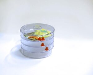 Sprossengarten für Nahrungsmittelindustrie